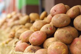 Cartofii, super-alimentul din trecut care revine în topul legumelor minune